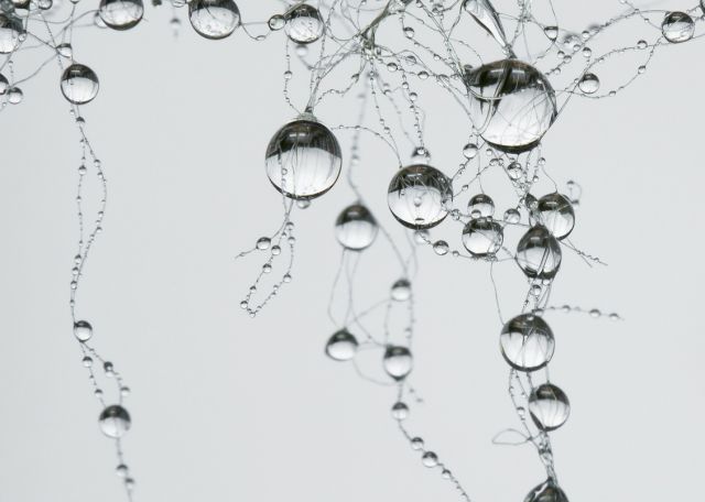 Raindrops image