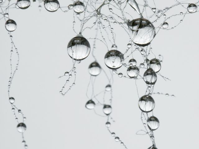 Raindrops image